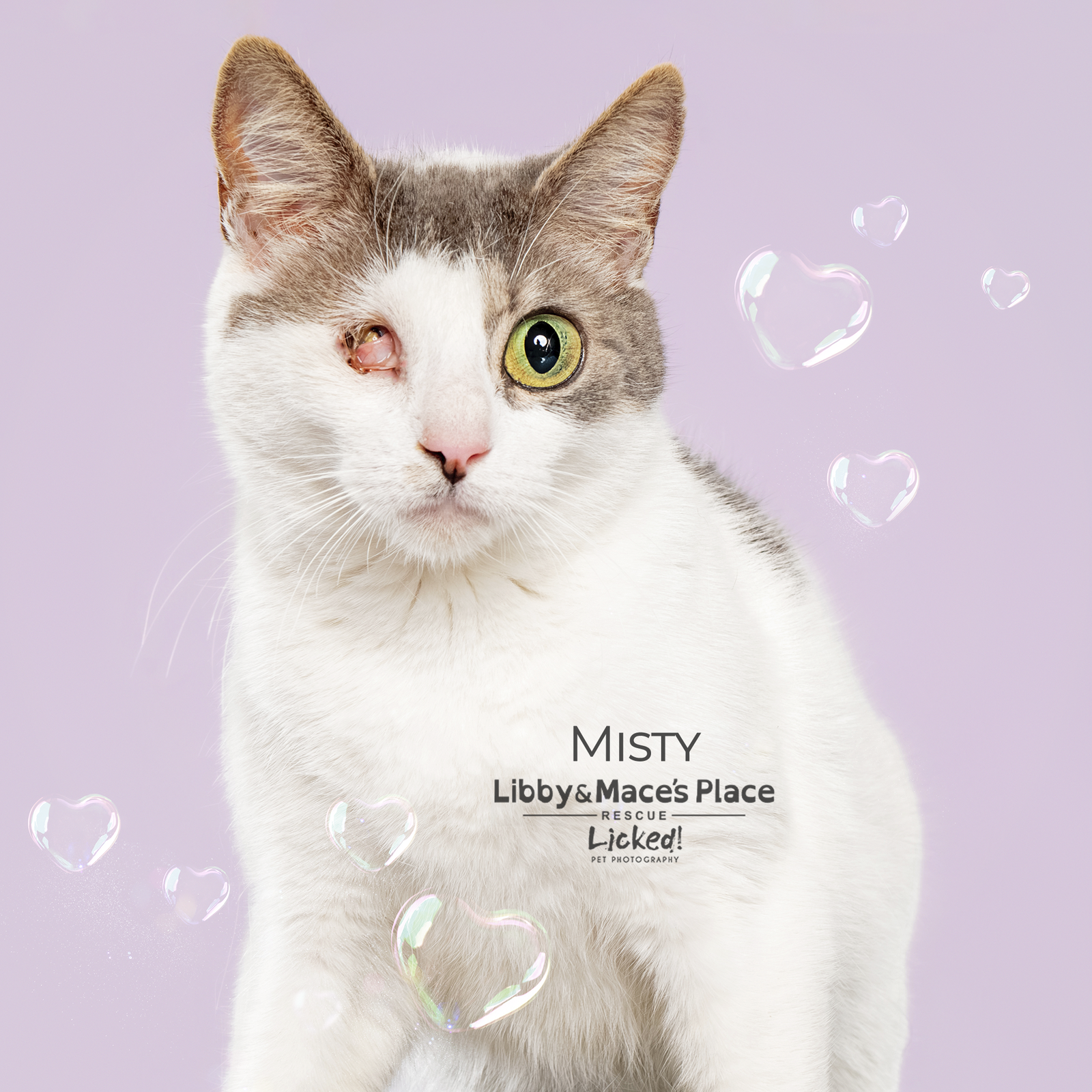 Misty Image