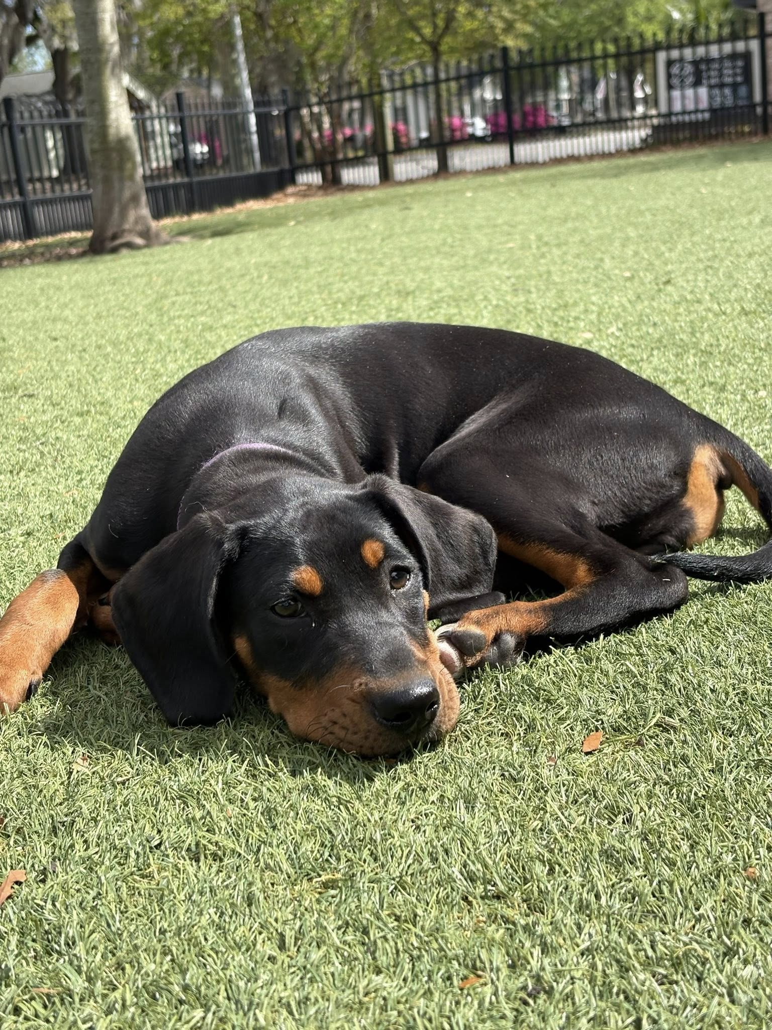 Sleepy
