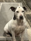 Cora - Photo 1