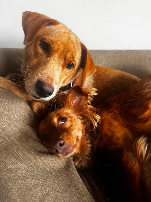 Butters photo 4