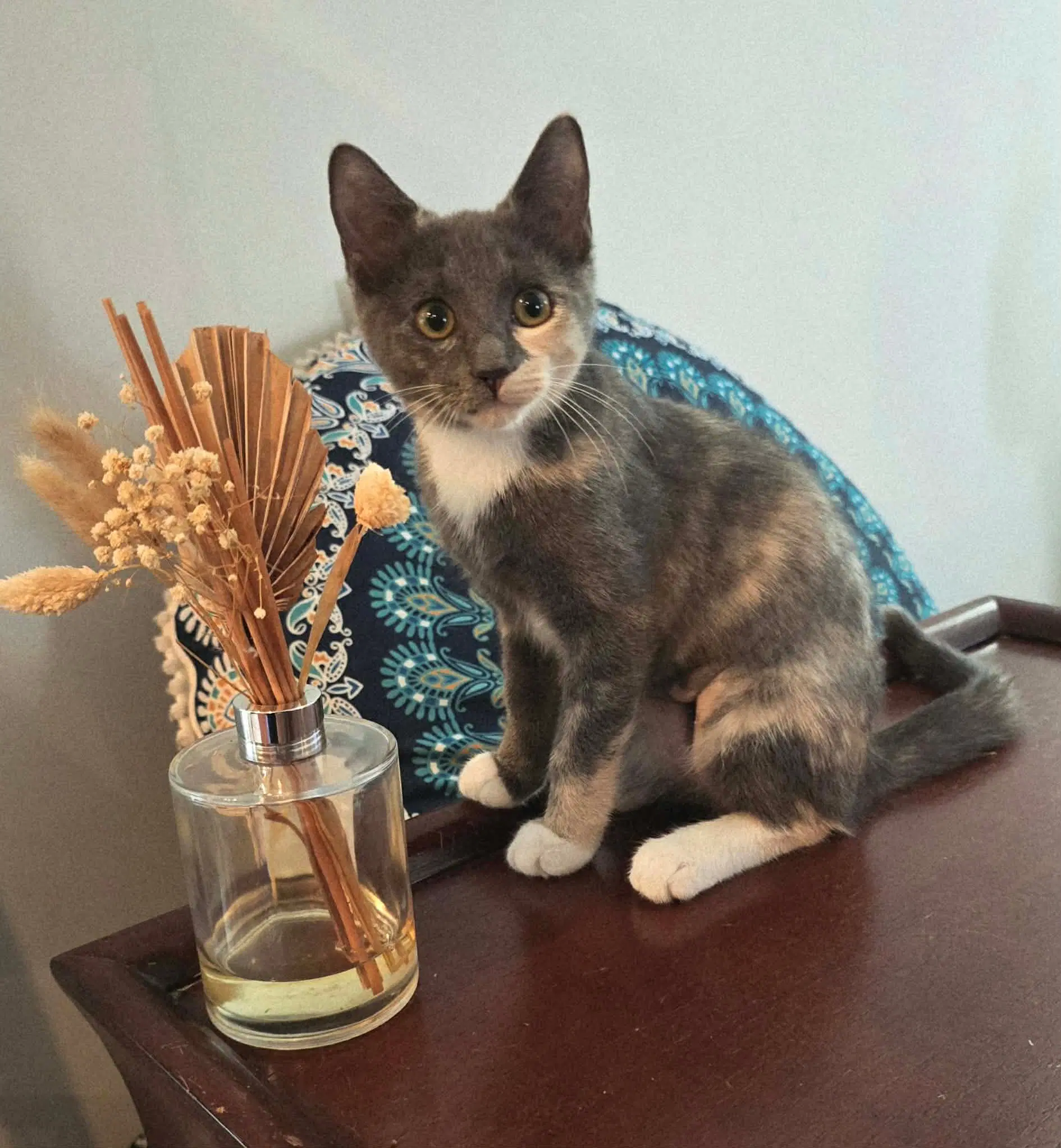 Ginny image 2