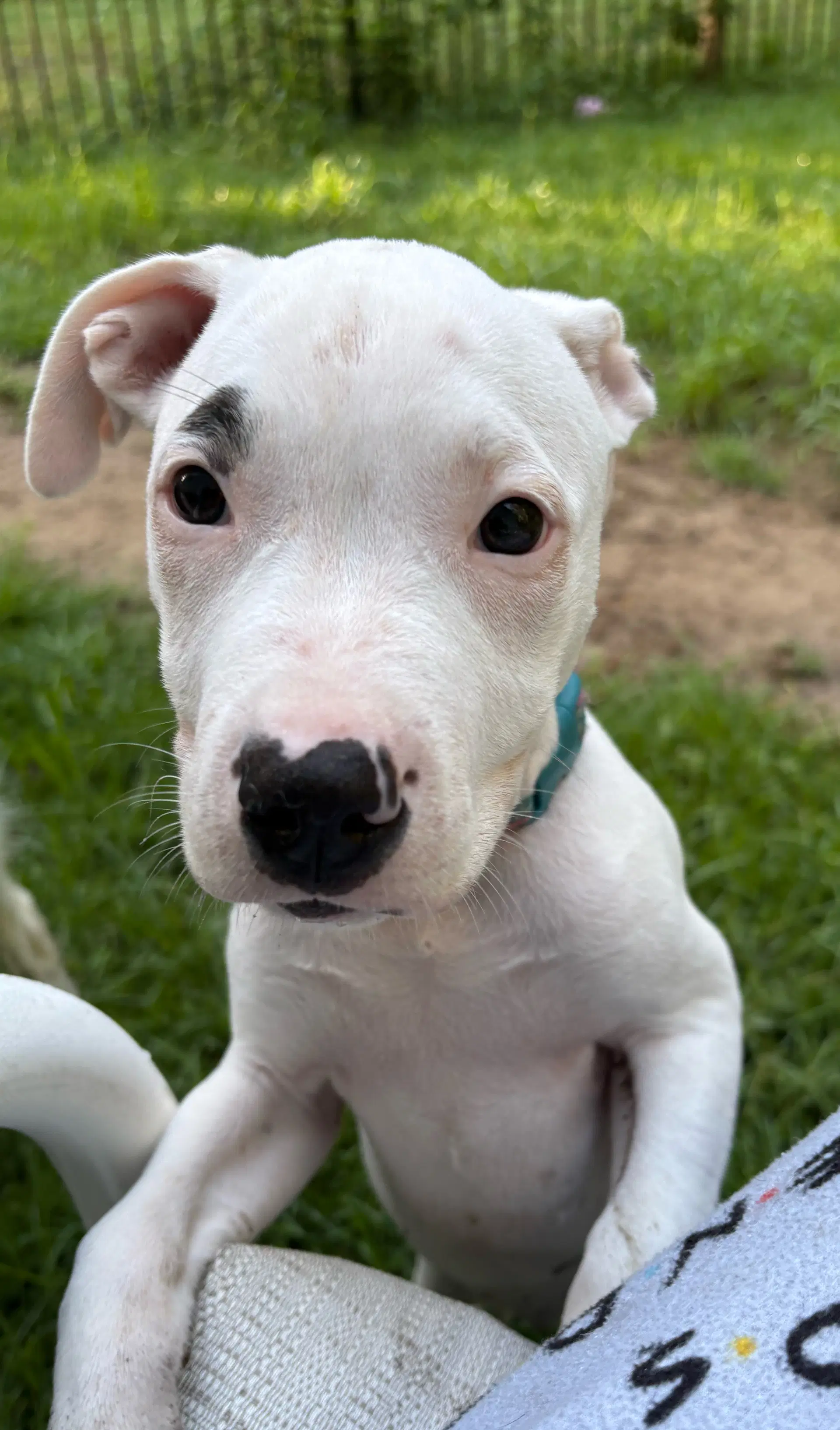 Madeline-Deaf - Unknown