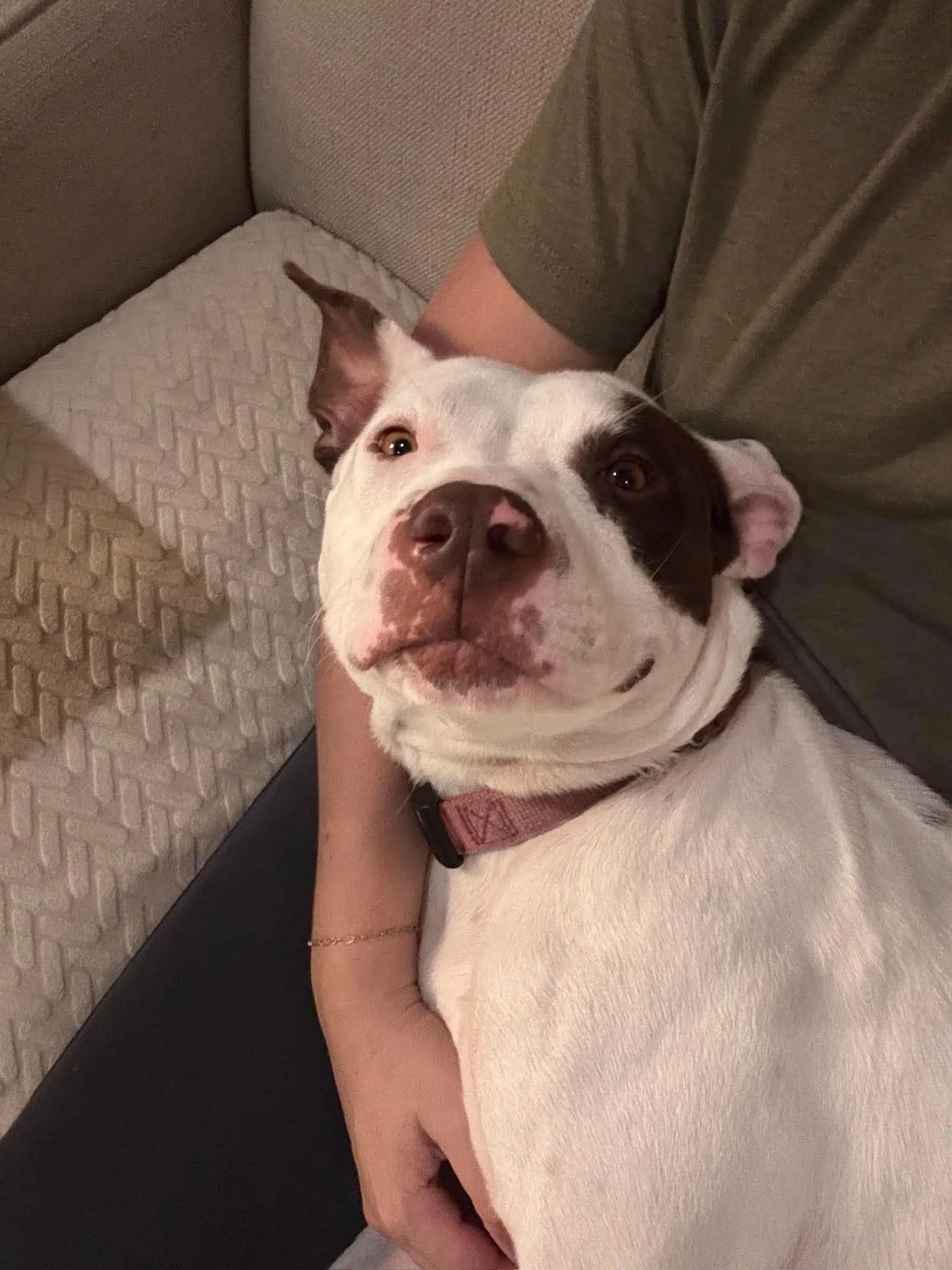 Georgie image 2