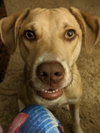 Deacon - Photo 5