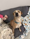 Spencer - Photo 4