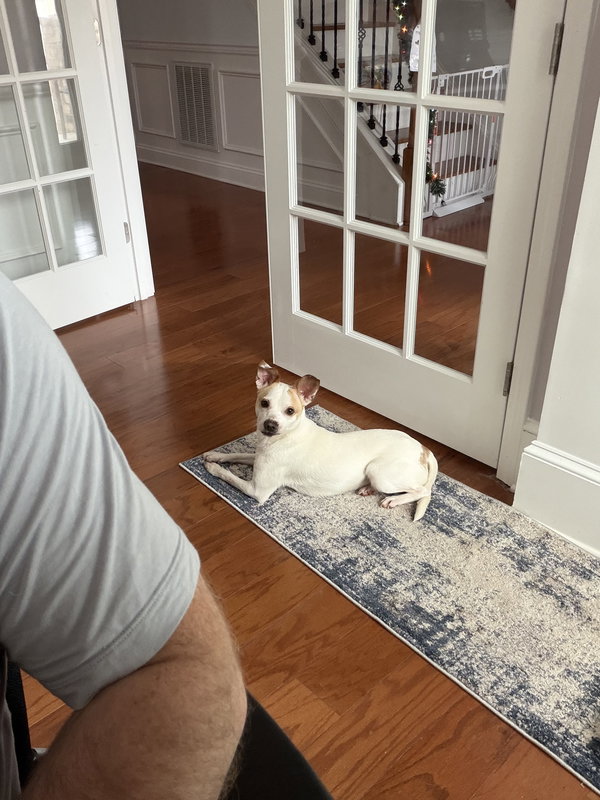 Milo