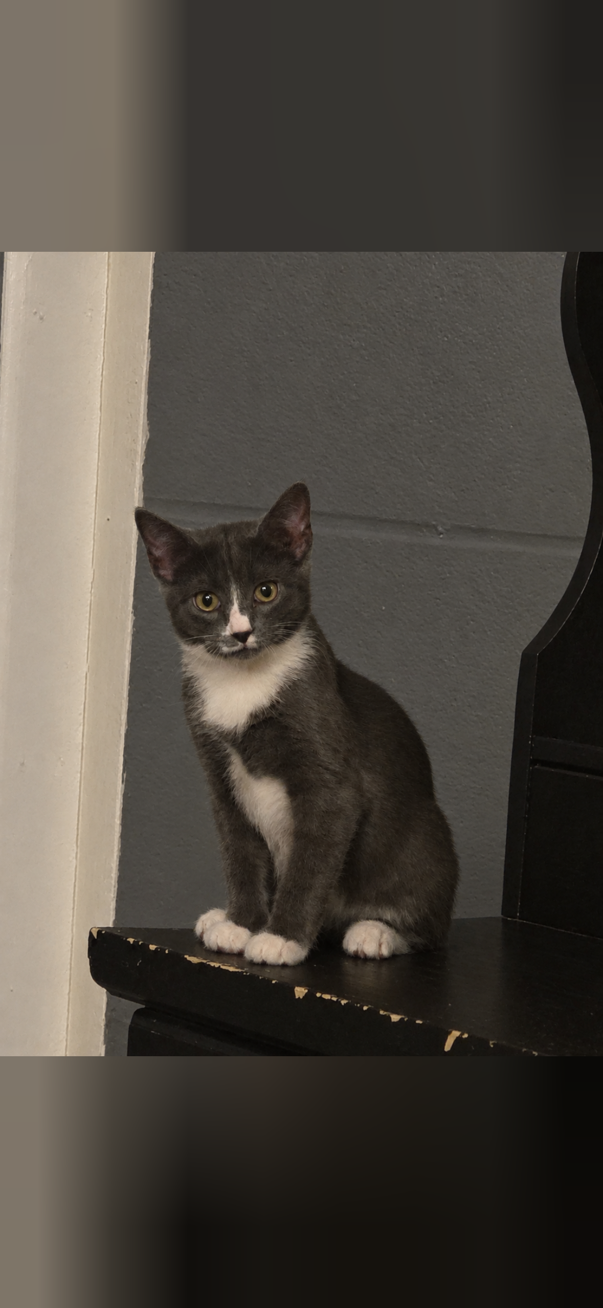 Luna, photo 2