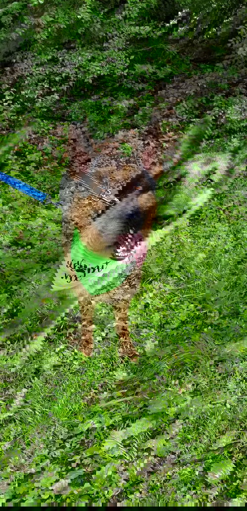 Sniper