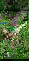 Sniper