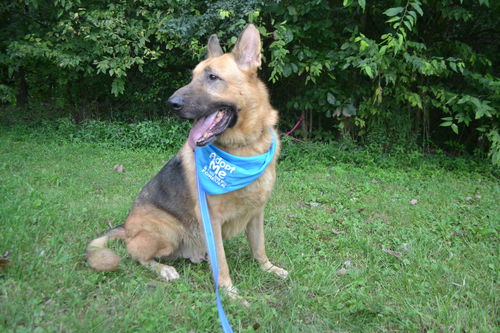 Scooby