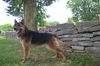 Riley