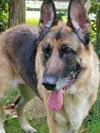 Roxy