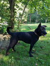 Athena