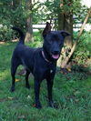 Athena