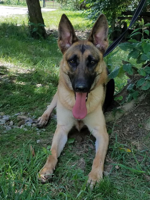 Sara