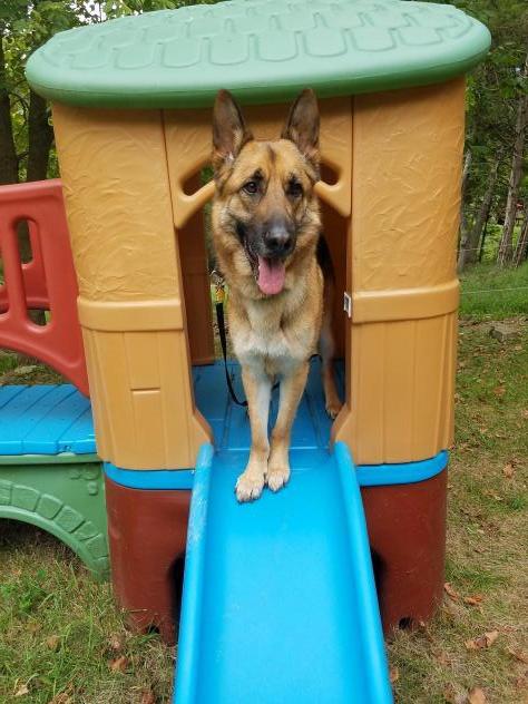 Sarge