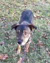 Shiloh