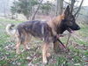 Romeo