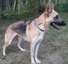 Pria
