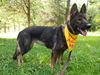 Meisha