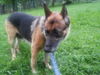 Molly