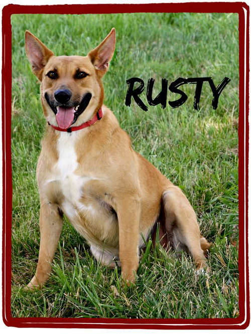 Rusty - Courtesy Post