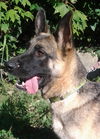 Lucy