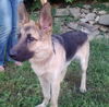 Riley