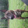 Roxie