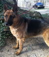 Maxwell