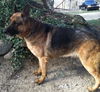 Maxwell