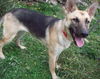 Roxie