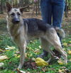 Gretchen