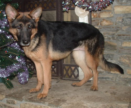 Audra