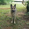 Axel