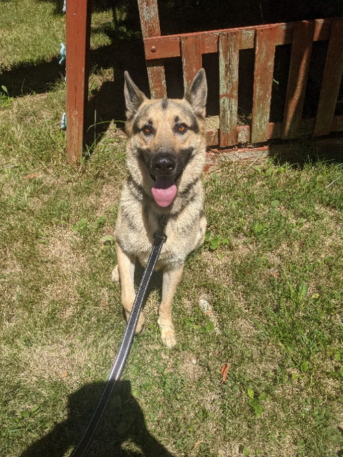 Axel