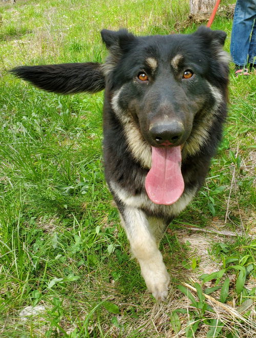 Rita