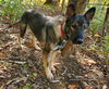 Roxie