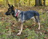 Roxie