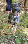 Roxie