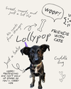 Lollypop