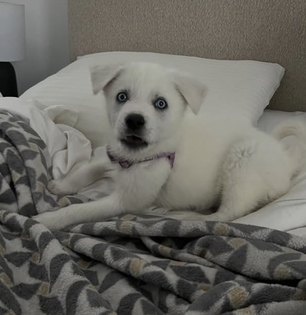 Molly