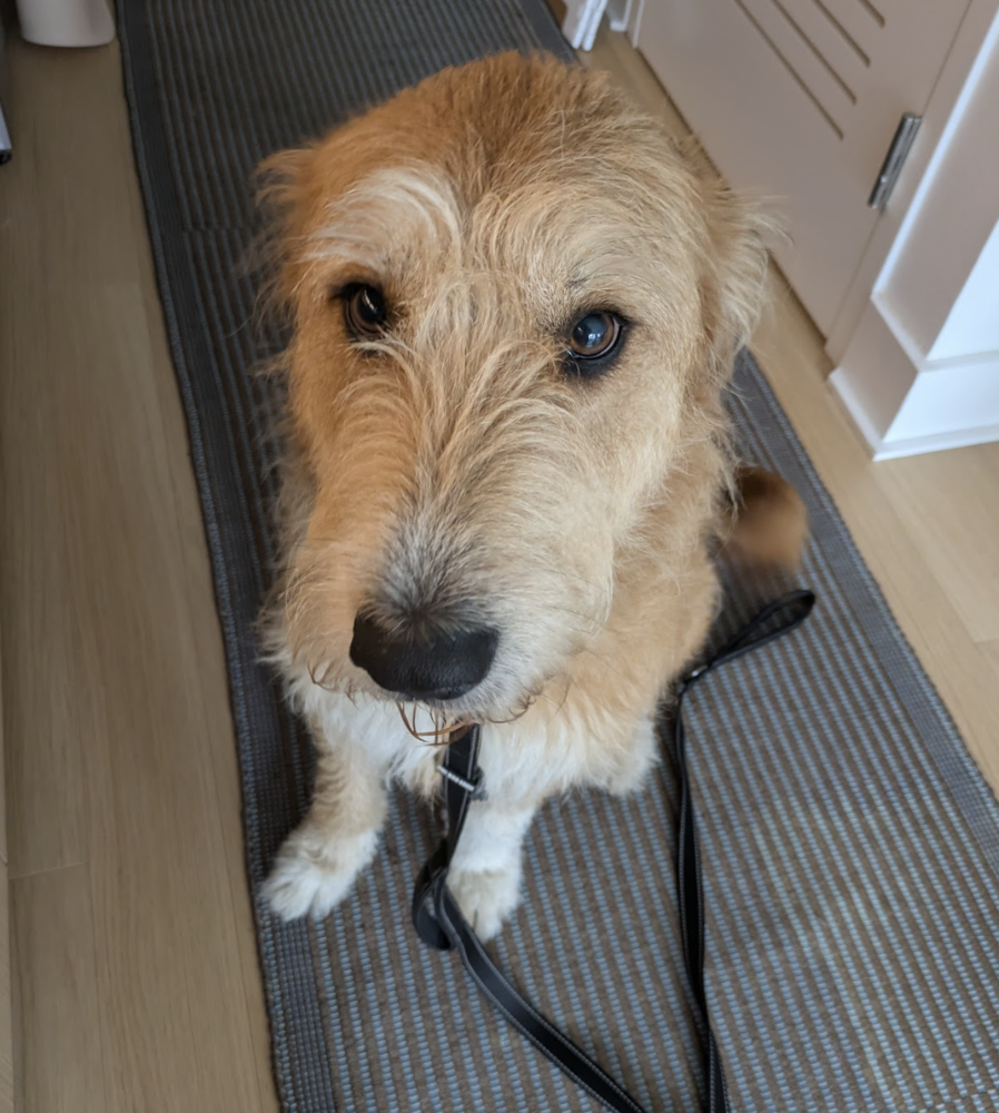 Tilly