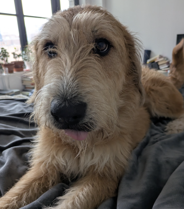 Tilly