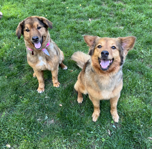 Athena and Scout