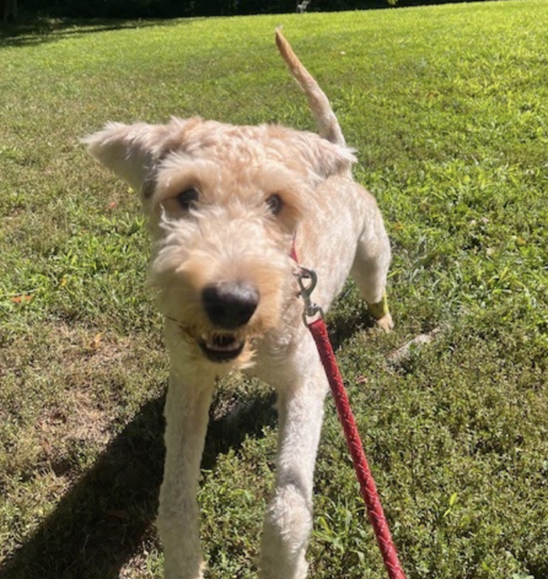 Wally