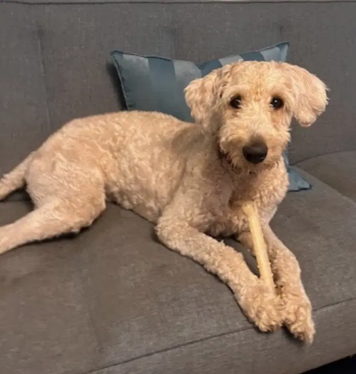 Wally image 3