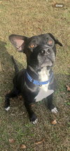 Buzz - Photo 1