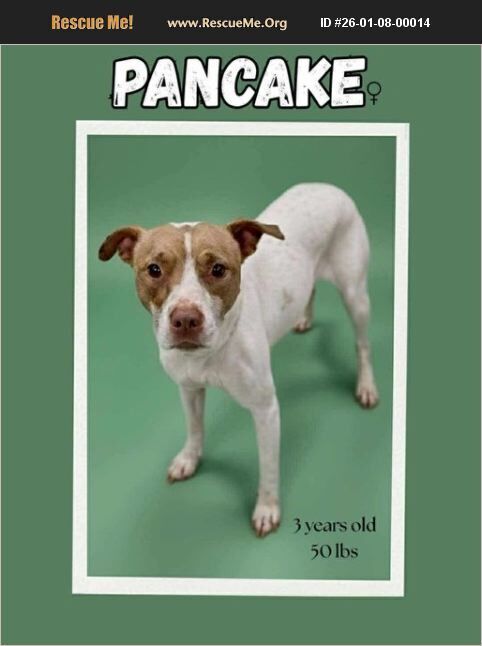 Pancake