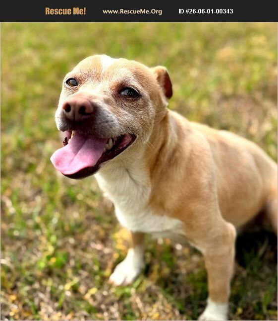 Sammy